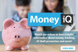MoneyIQ