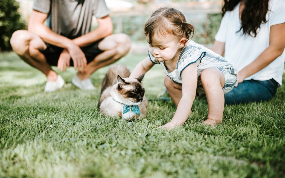 chewy-59TTmbSL1Yw-unsplash